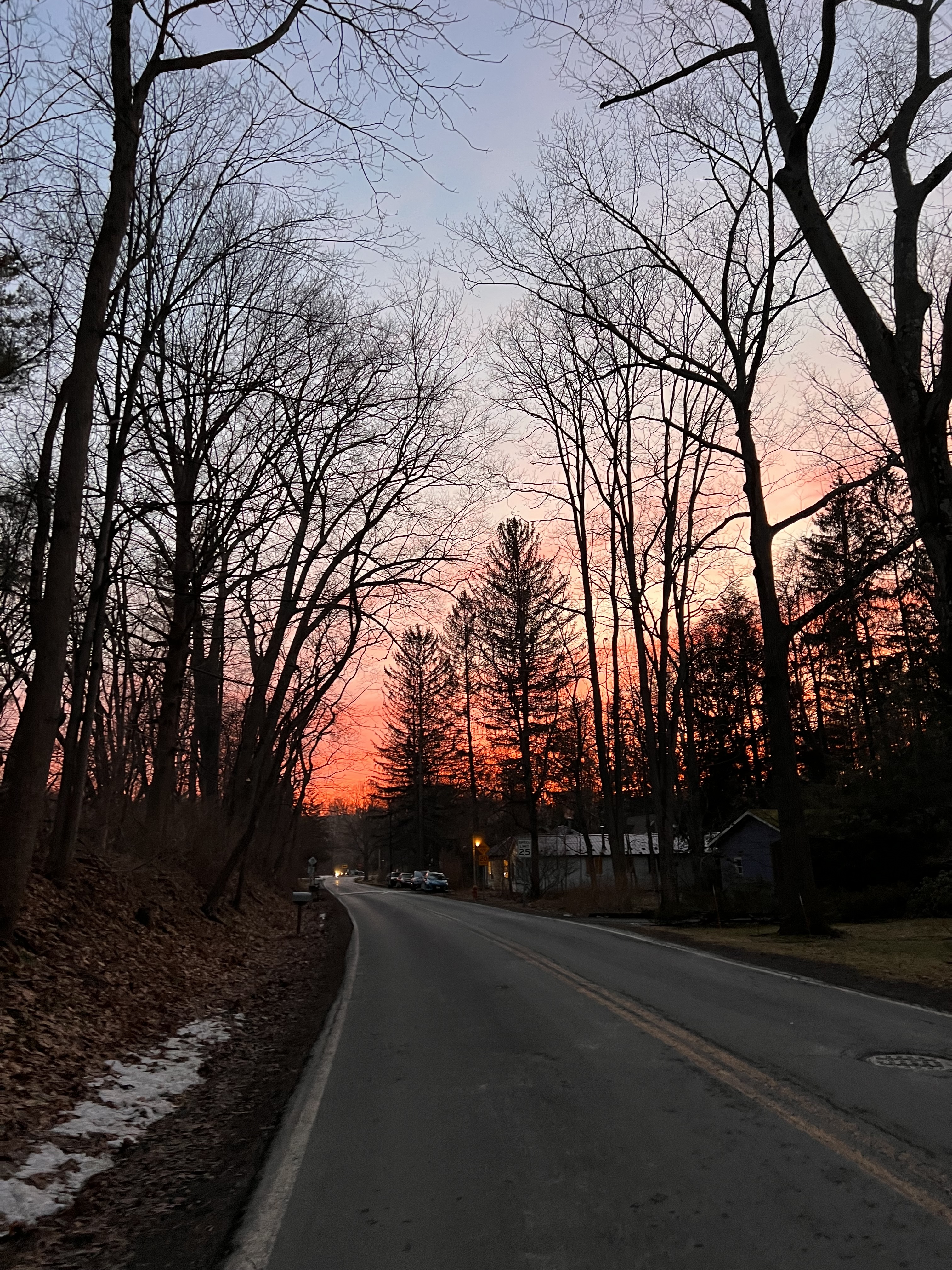 Nature Photo 18
