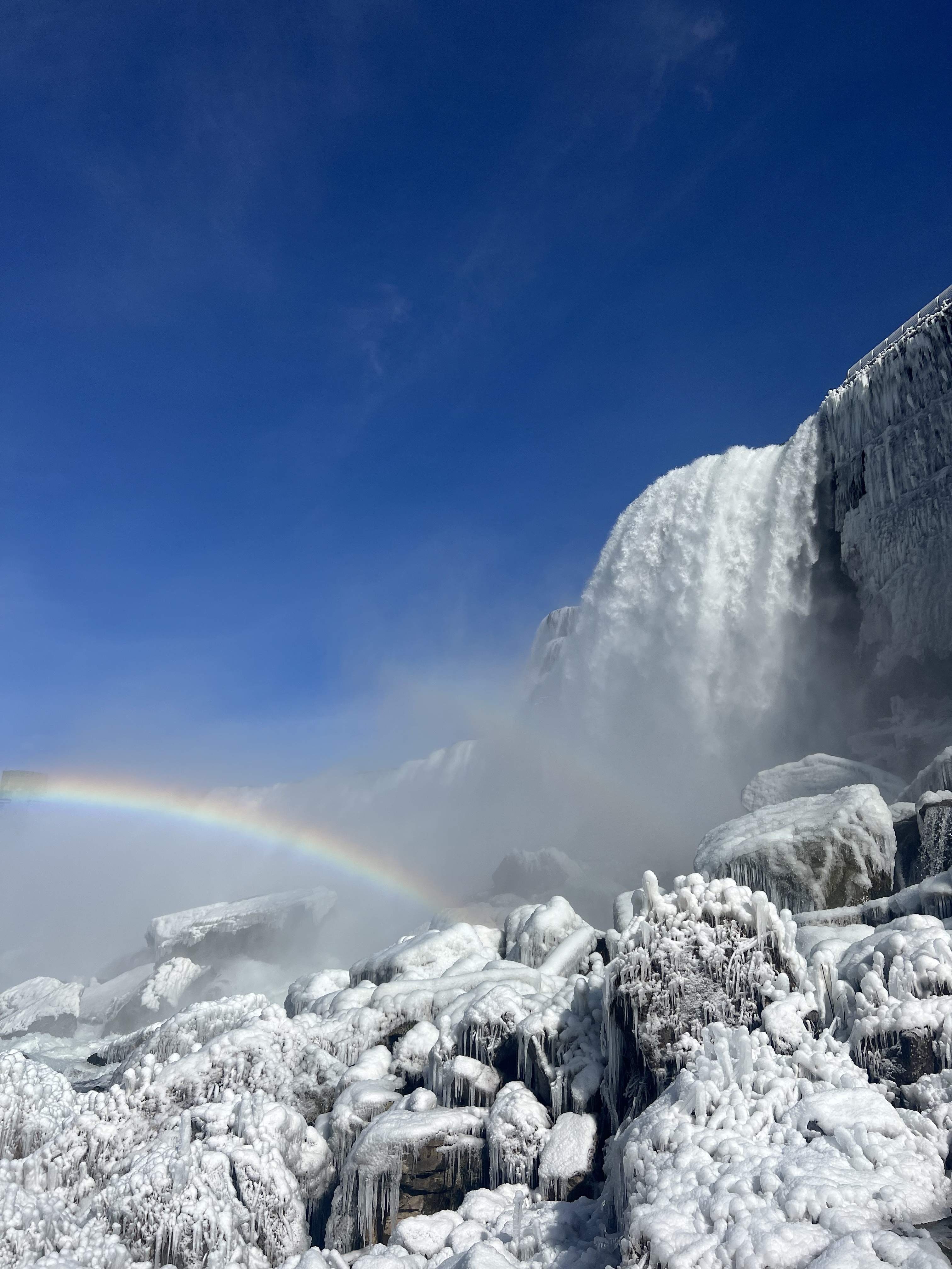Nature Photo 19