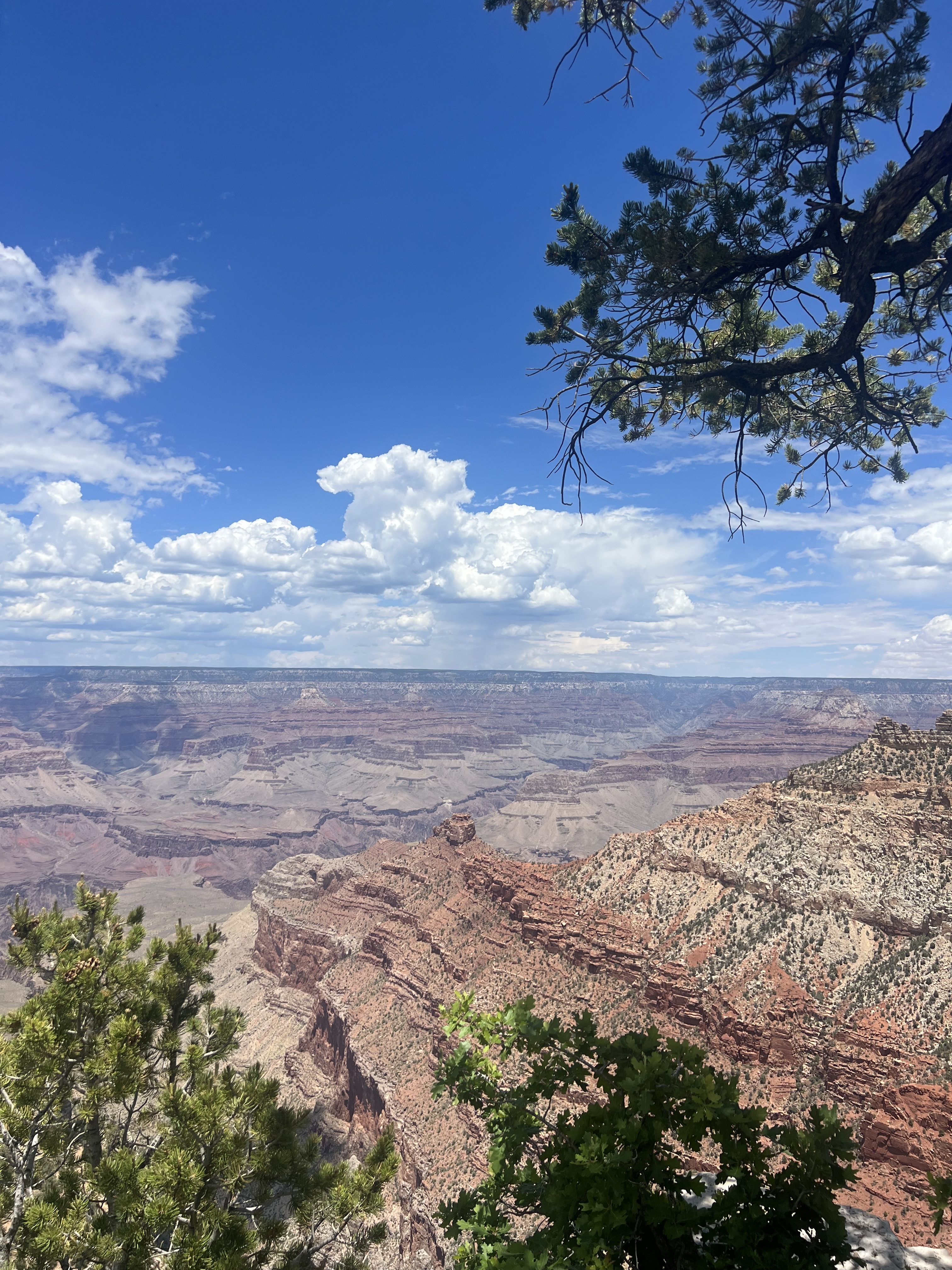 Nature Photo 20
