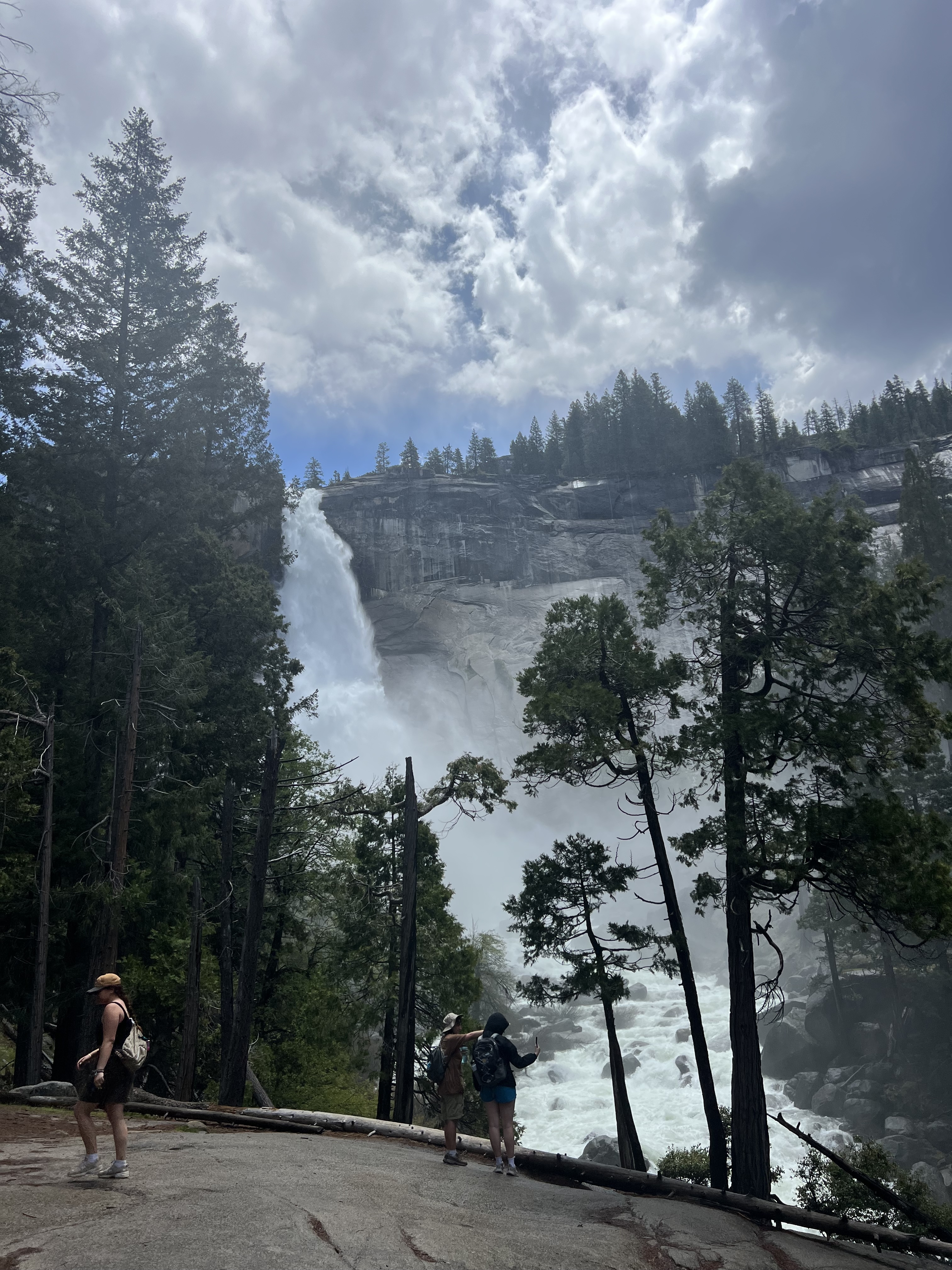 Nature Photo 7
