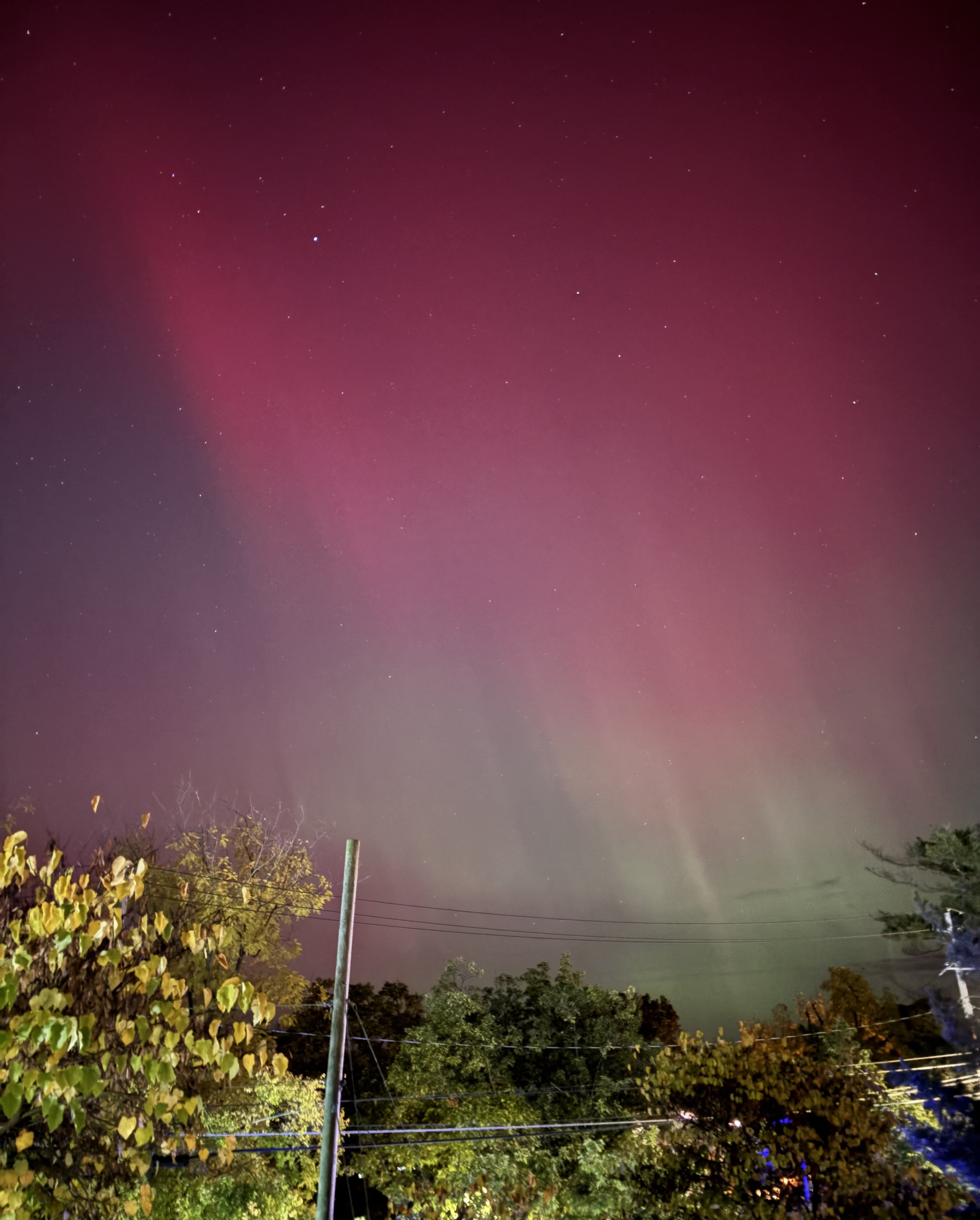 Nature Photo 9